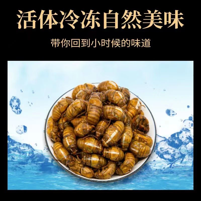 顺丰包邮现抓现发知了候爬蚱新鲜冷冻发货大号蝉蛹鲜活速冻