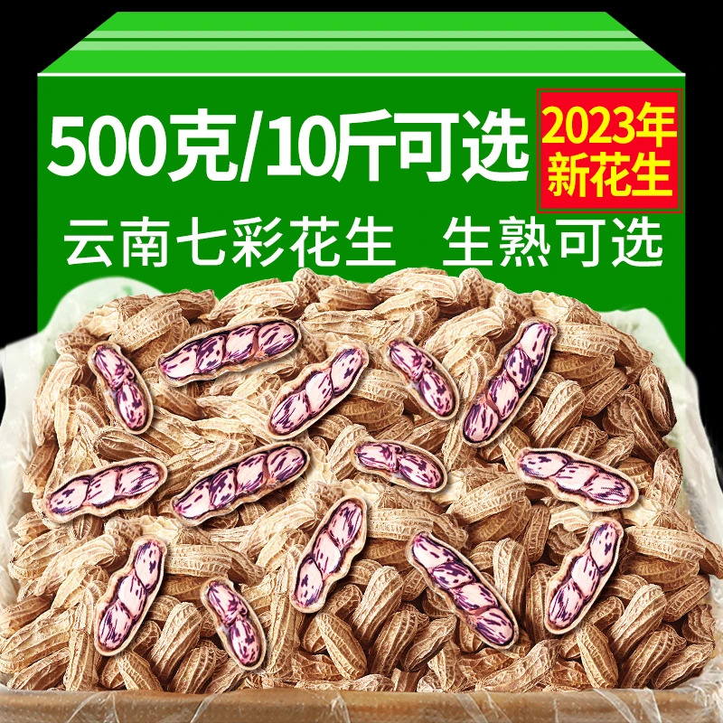 当季新货云南七彩花生新鲜带壳晒干炒熟五彩牛奶生花生七彩花生米