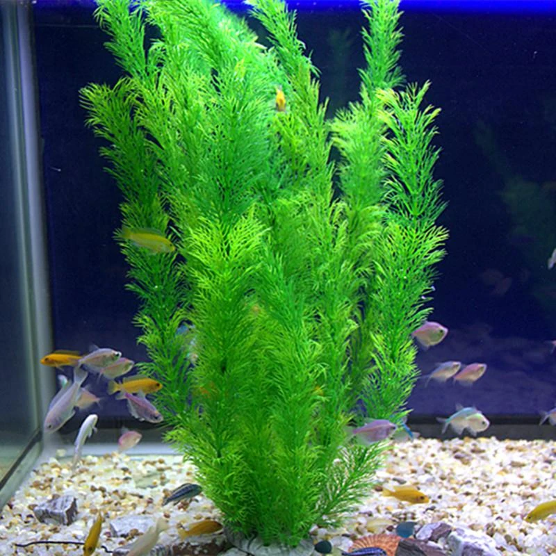 鱼缸装饰仿真水草水族造景假水草装饰柔软水草塑料水草绿色