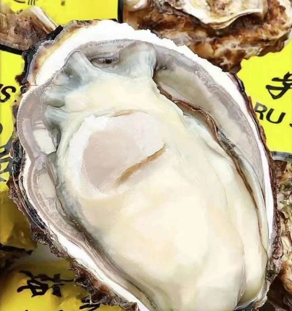大号生蚝5两/个鲜活发货 山东冷水蚝  5斤顺丰包邮