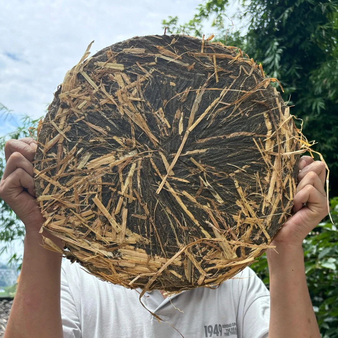 【钓鱼打窝神器】农村老油坊古法土榨菜籽油饼钓鱼打窝菜枯有机肥
