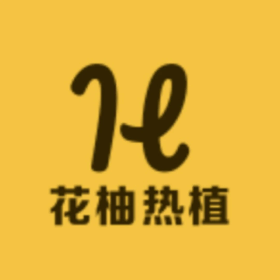 大板块洒金龟背竹，一物一拍，轻微叶损不包售后