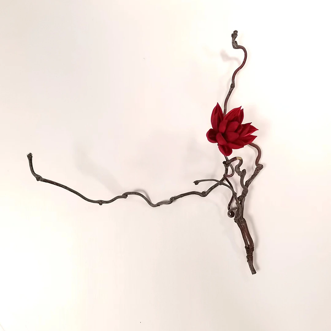 樱桃红干花 单独花瓶单品摆件