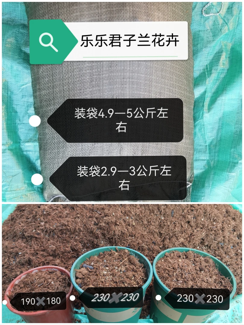 乐乐君子兰花卉混合泥炭土君子兰土壤（新疆西藏海南内蒙勿拍）