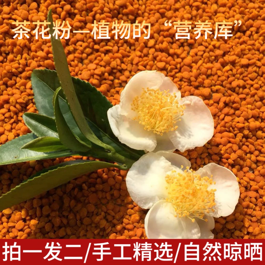 新鲜茶花粉拍1发2农家优质手工优选男女皆宜食用花粉