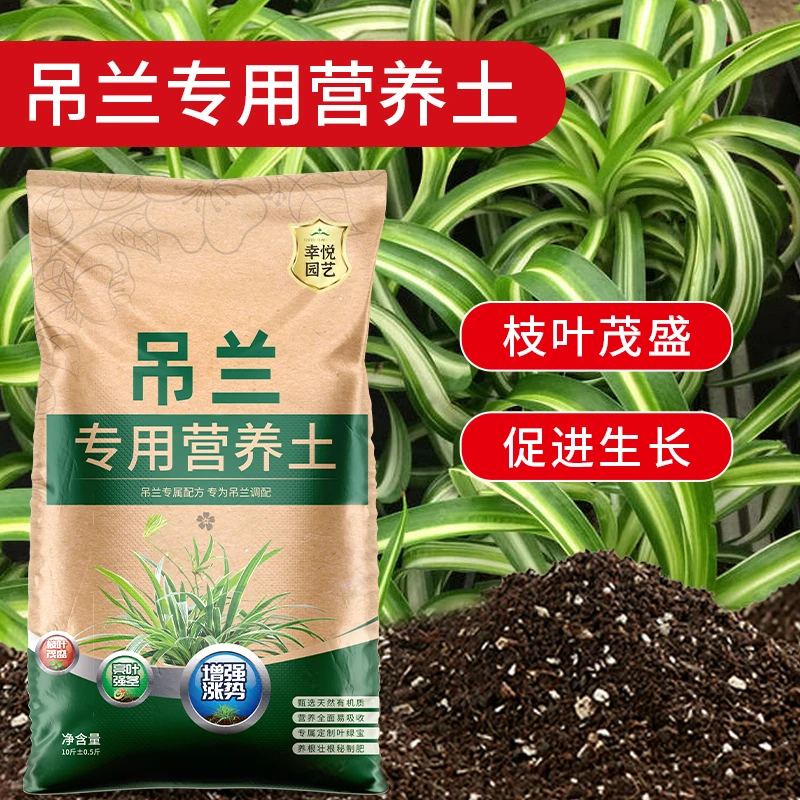 吊兰专用营养土花土种养金边油画金鱼吊兰专用土壤泥土种植土肥料
