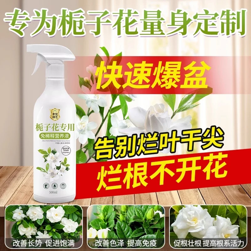 栀子花免稀释营养液栀子花肥料专用肥家用酸性花肥黄叶盆栽开花肥
