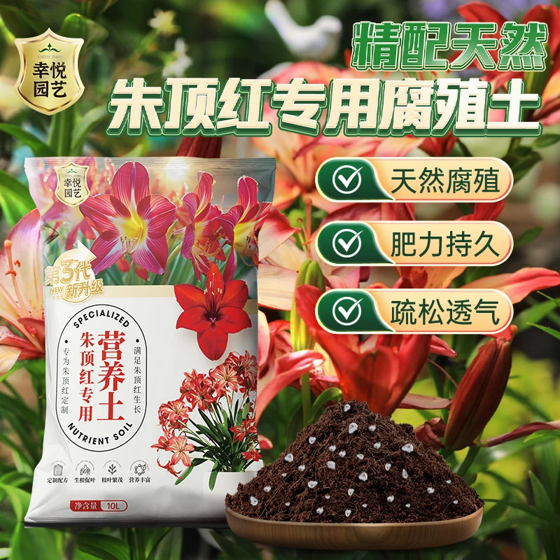 朱顶红专用土腐殖营养土球根种球专用营养土家用有机天然腐叶肥料