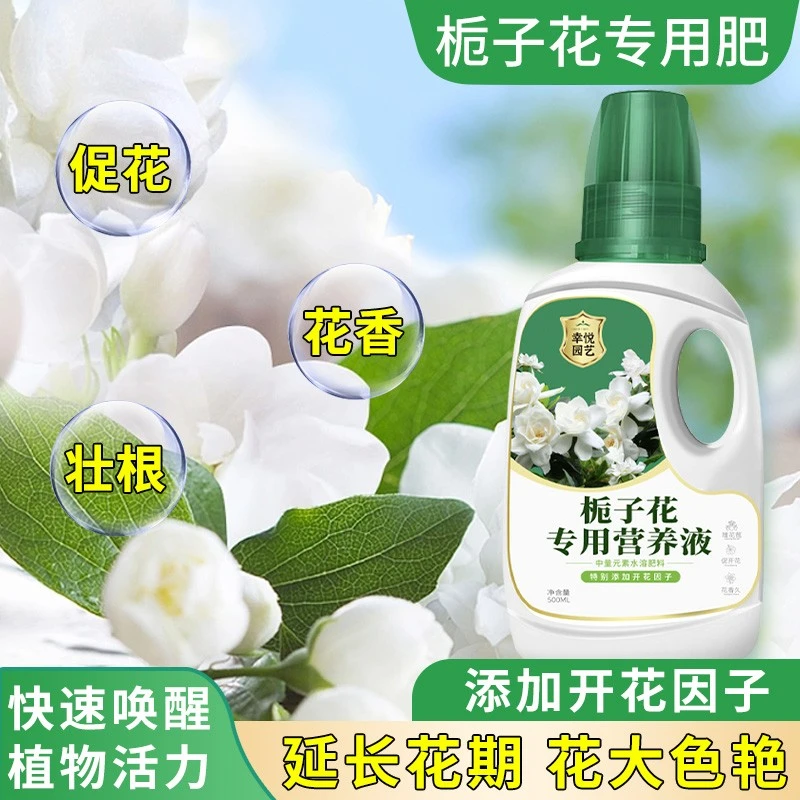 栀子花专用营养液栀子花肥料专用肥叶子发黄促开花喜酸植物营养液