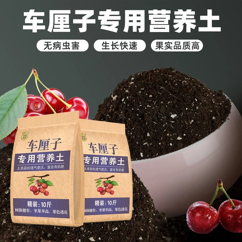 车厘子专用土营养土通用有机基质土阳台瓜果树用肥土泥土壤种植土
