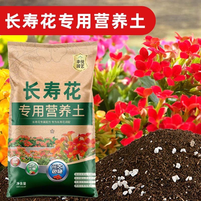 长寿花专用土花土营养土栽培土种养长寿花的促进泥土配土盆栽肥料
