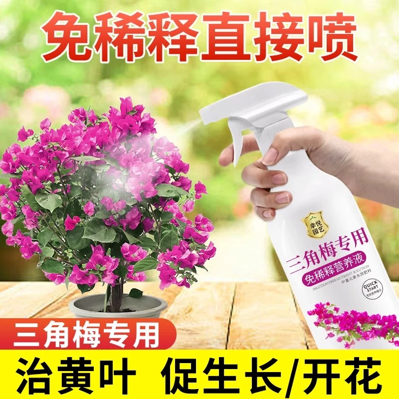 三角梅专用免稀释营养液肥料开花专用肥促花爆花冒花肥黄叶营养肥