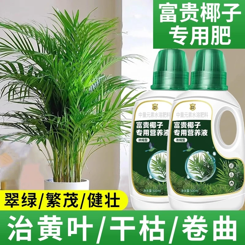 富贵椰子浓缩营养液袖珍椰子夏威夷椰子璎珞椰子专用肥料治黄叶