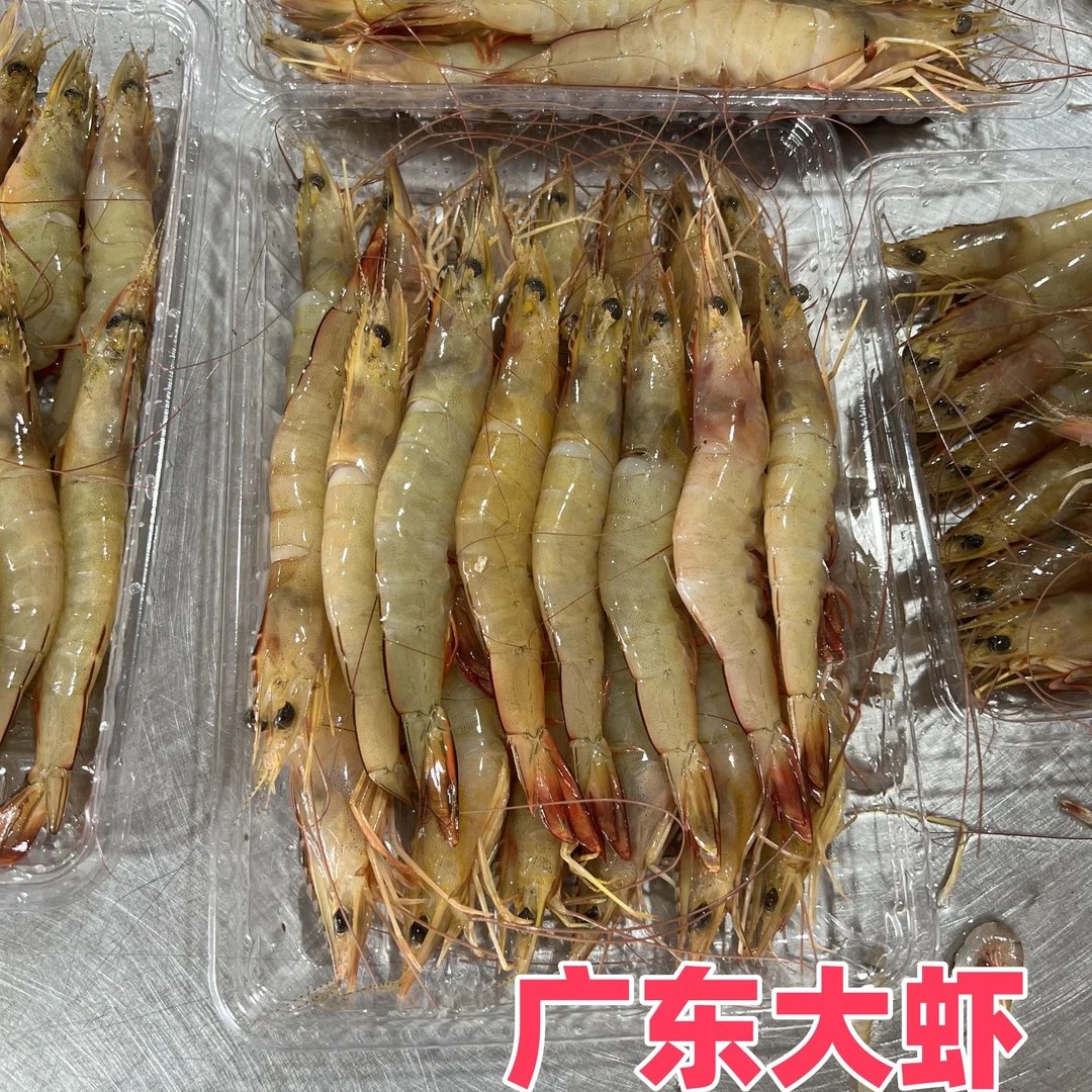 3斤广东本港海捕新鲜大虾海虾明虾野生活虾速冻3斤大明虾顺丰包邮