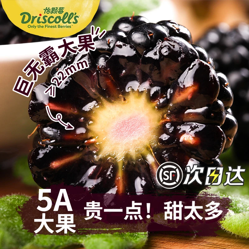 怡黑莓鲜果新鲜水果覆盆子稀有热带树莓当季桑葚顺丰125g/盒颗莓