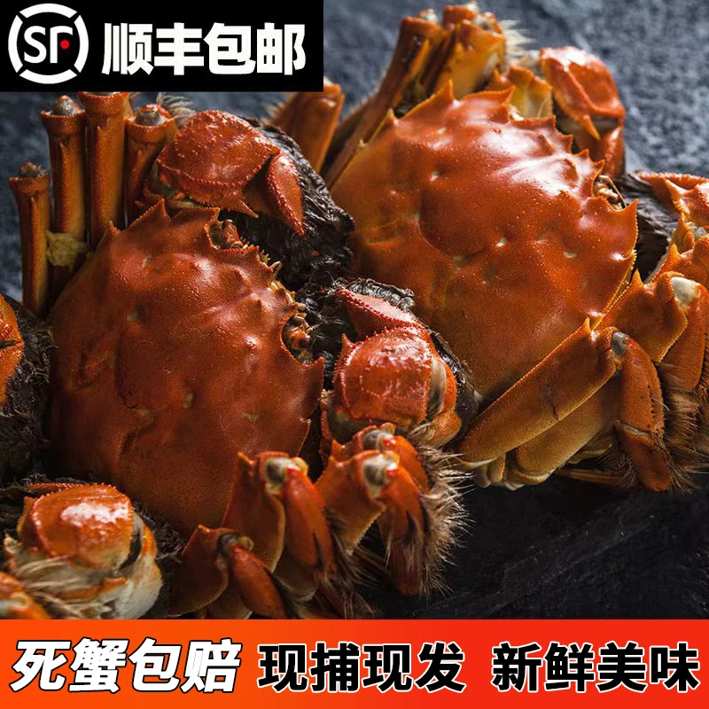 【活蟹】精品3两公蟹加2两母蟹共10只礼盒装