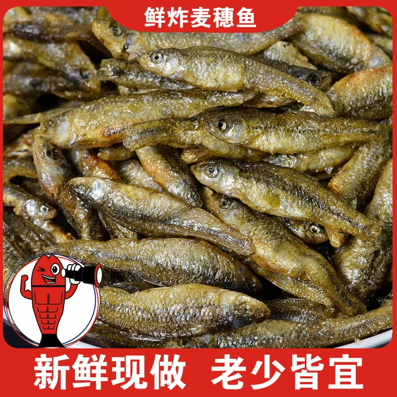 芳德鲜炸麦穗鱼弄子鱼淡水新鲜麦穗小干鱼仔毛毛鱼营养鲜香健康
