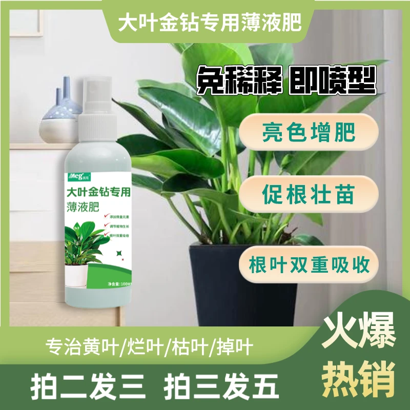 【大叶金钻营养液】防叶片耷拉下垂斑点黄叶不生长免稀释即喷型肥料