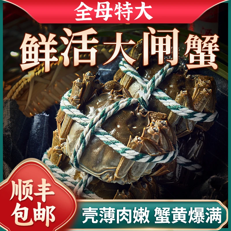 【活蟹 】全母蟹2.6两10只+2只 鲜活大闸蟹螃蟹水产礼盒