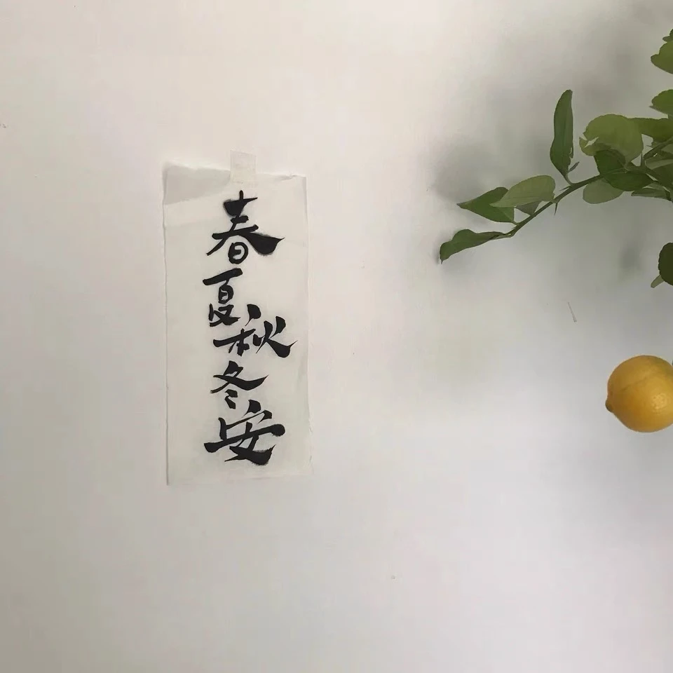 补差价补运费拍请拍这个面料