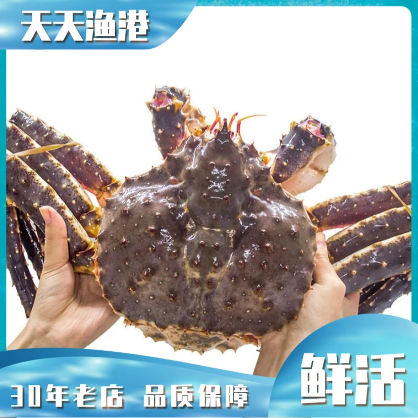 鲜活帝王蟹  多个规格
