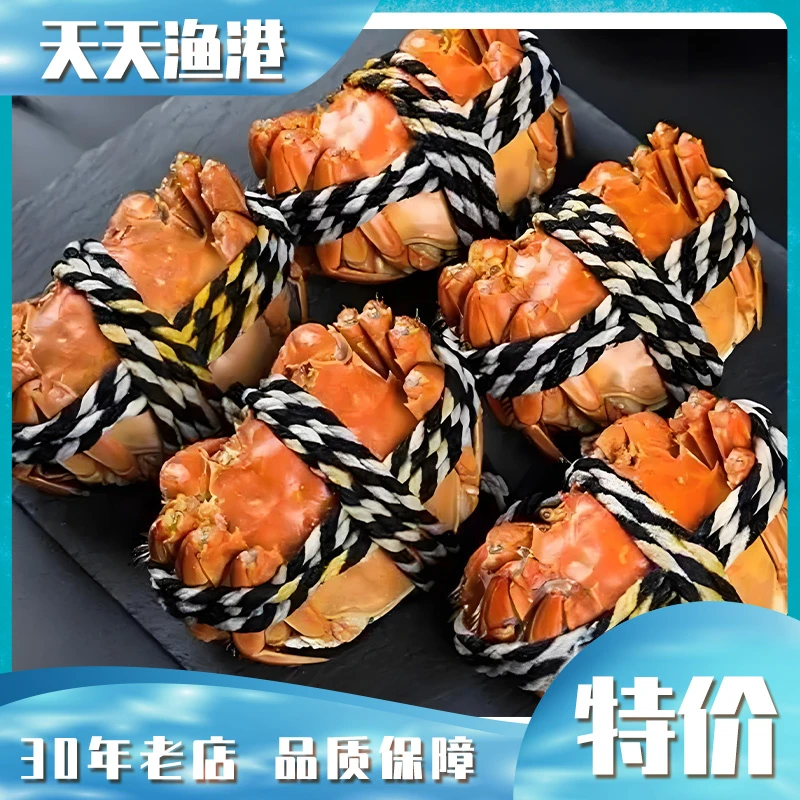 大闸蟹共10只（1两5-1两8）/母蟹