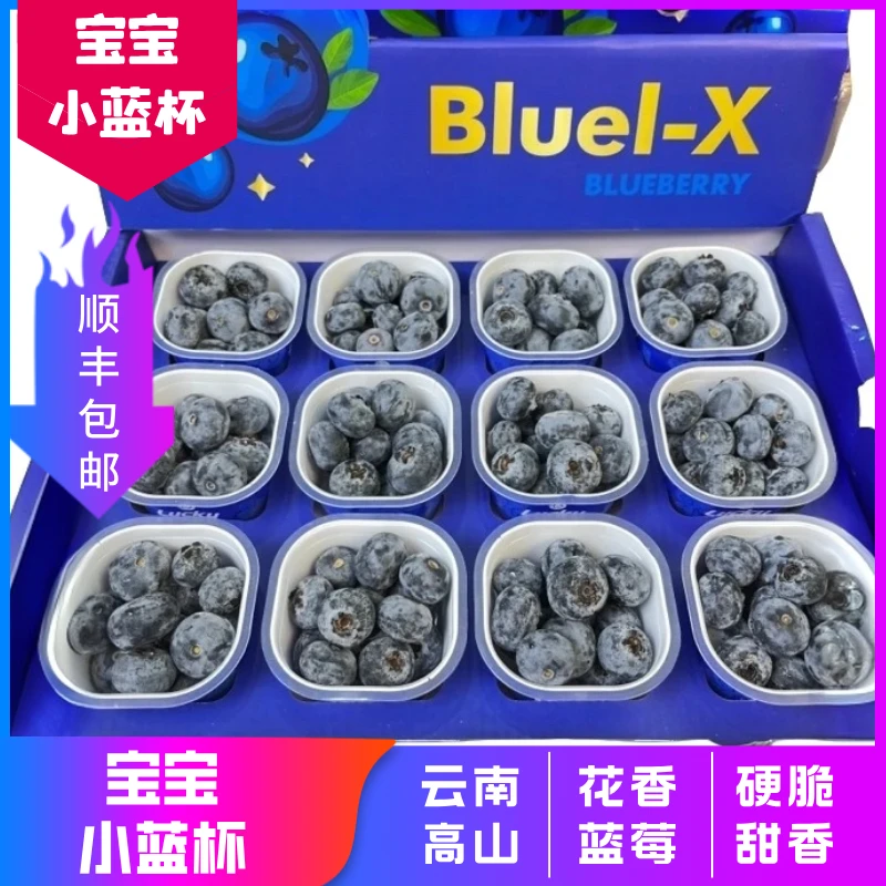 【顺丰空运】云南高山花香蓝莓25宝宝杯小蓝杯超大蓝莓宝宝辅食