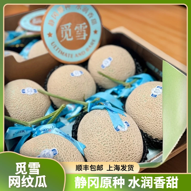 觅雪网纹瓜静冈原株原种 甜而不腻水润香甜冷藏更佳 顺丰包邮