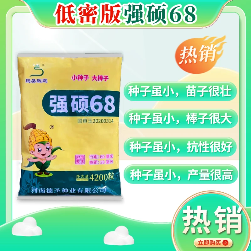 【低密版强硕68吨粮争霸赛】国审抗旱4200粒玉米种增产丰收耐旱种植