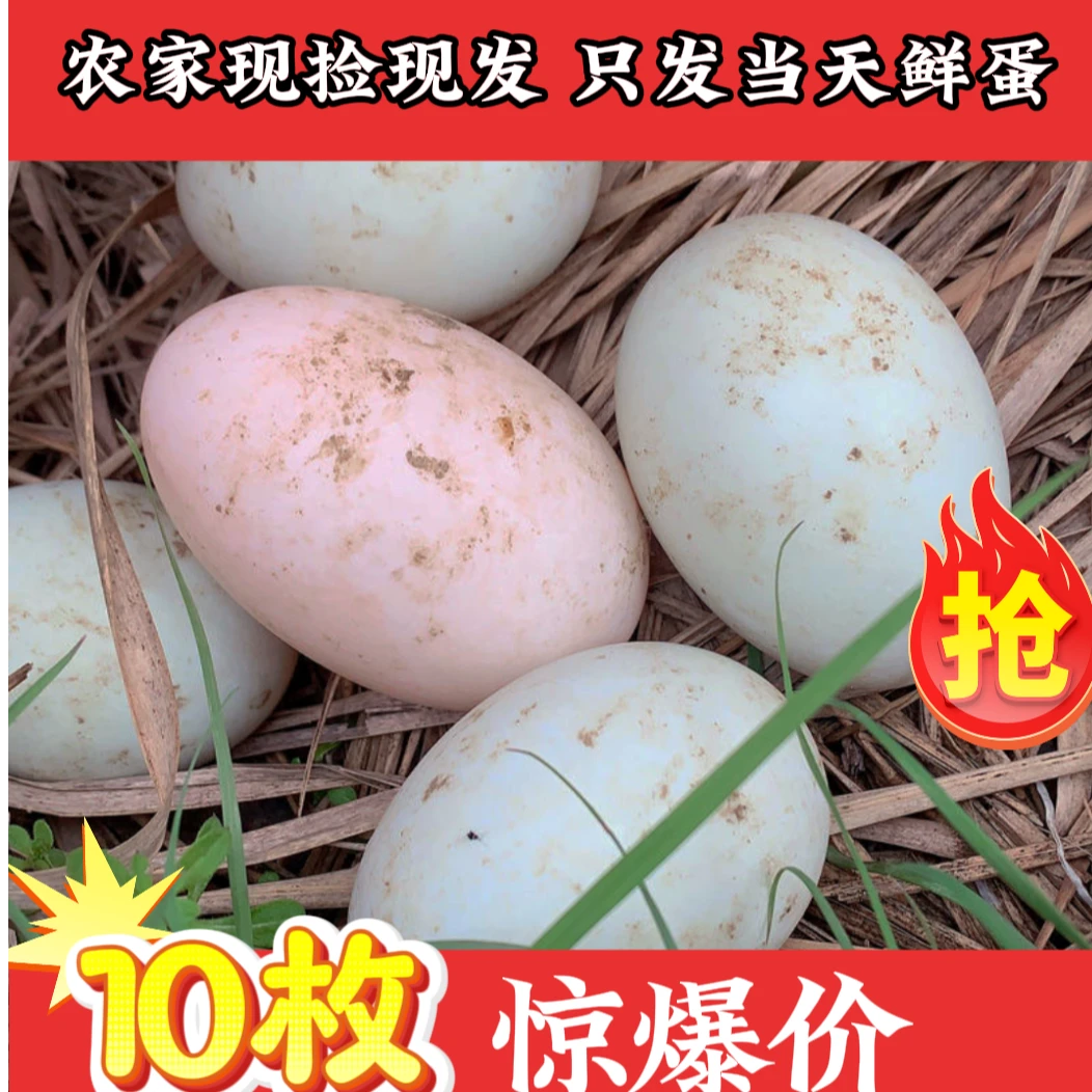 农家散养土鸭蛋新鲜生鸭蛋绿壳麻鸭蛋现捡现发湖里放养一整箱批发