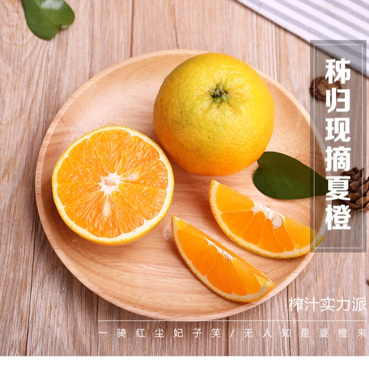 湖北秭归伦晚夏橙3斤/5斤/9斤/现摘现发新鲜多汁