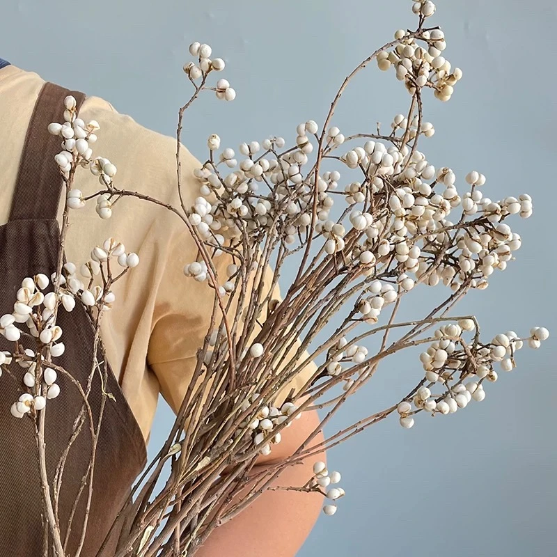 乌桕果 | 小白果干花花束菩提果室内插花鲜切支鲜花植物盆栽