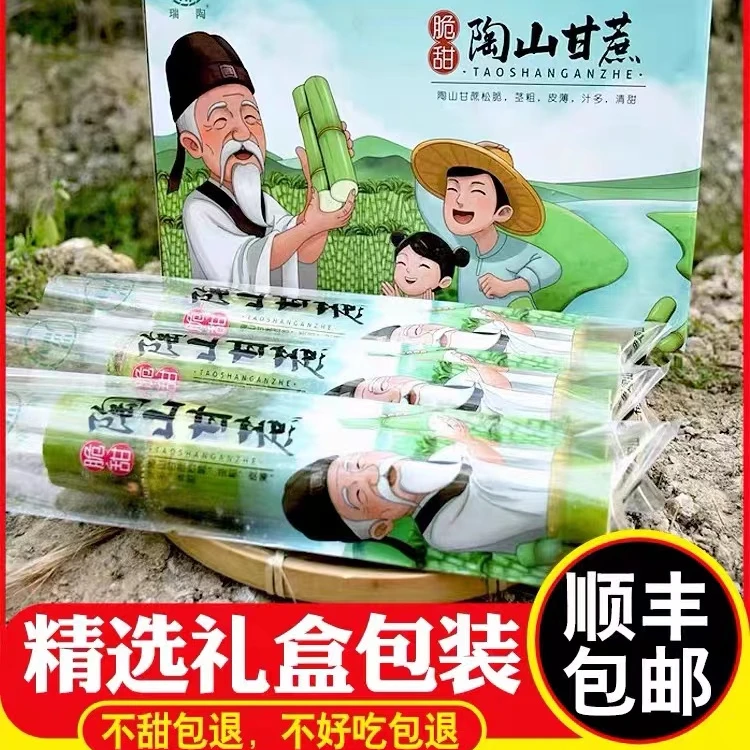 ZHIO【一年只吃这一季 青皮口感更甜】浙江陶山青皮甘蔗5斤礼盒装