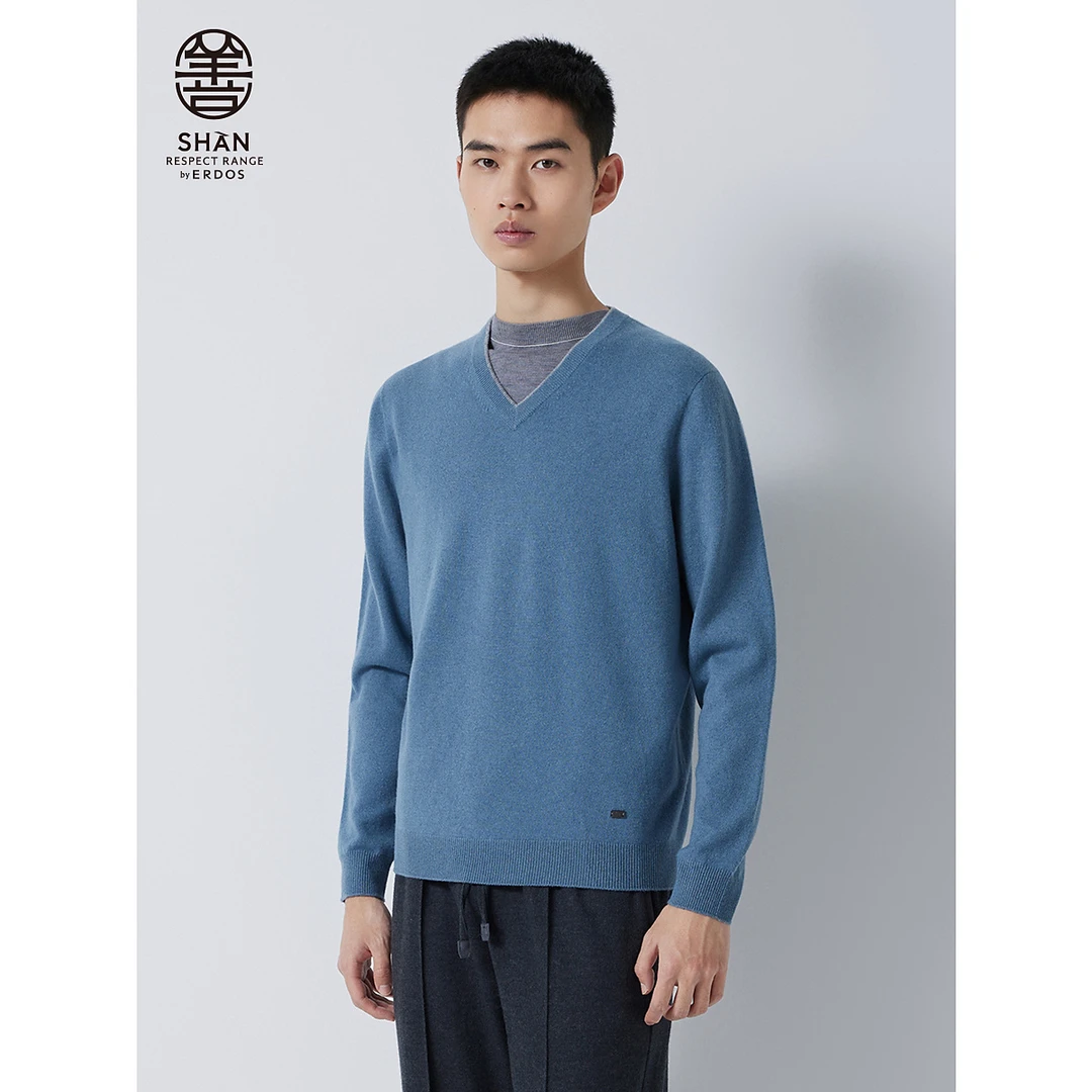 【善系列】ERDOS男装V领纯山羊绒休闲长袖男套衫时尚品质感羊绒衫A