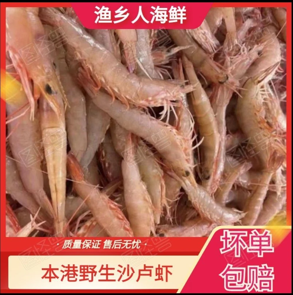 广东汕尾港野生优质沙卢虾（麻虾）