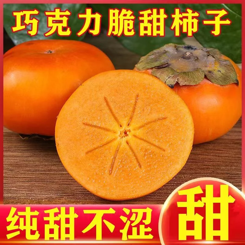 【精品十年老树】山西阳丰甜脆柿脆甜不涩新鲜现摘水果5斤削皮食用Z