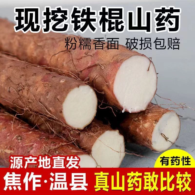河南焦作温县正宗铁棍山药自家种植彻底没有中间商赚山药铁棍山药