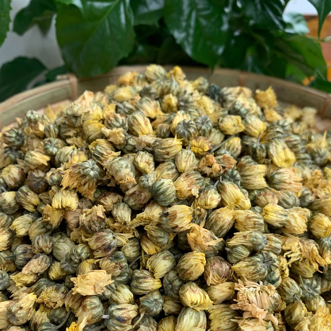 【海天精选】山货胎菊