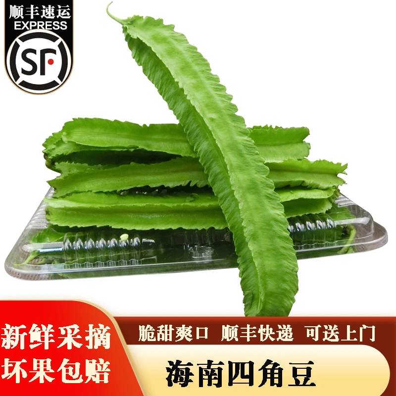 （顺丰速发）海南三亚四角豆新鲜蔬菜脆甜爽口