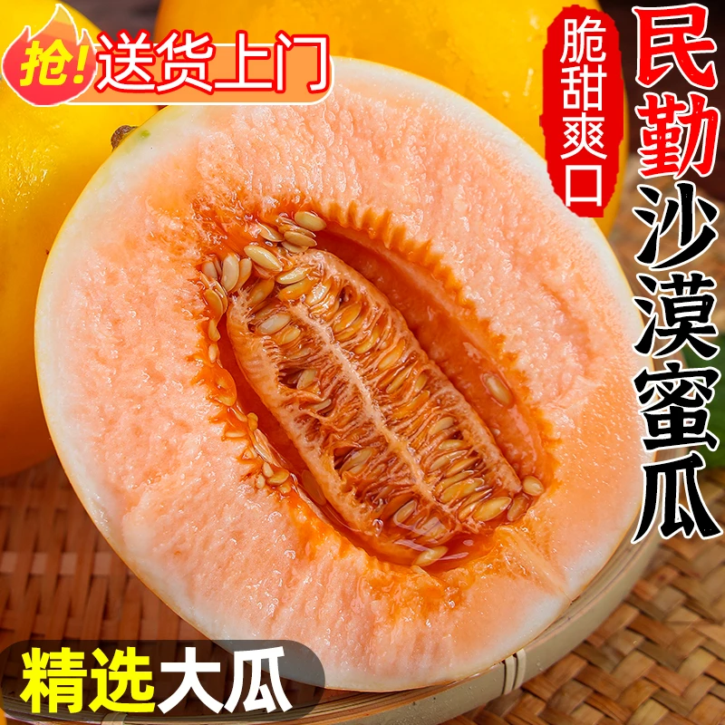 【坏果包赔】甘肃民勤黄河蜜瓜沙漠蜜瓜 脆甜爽口