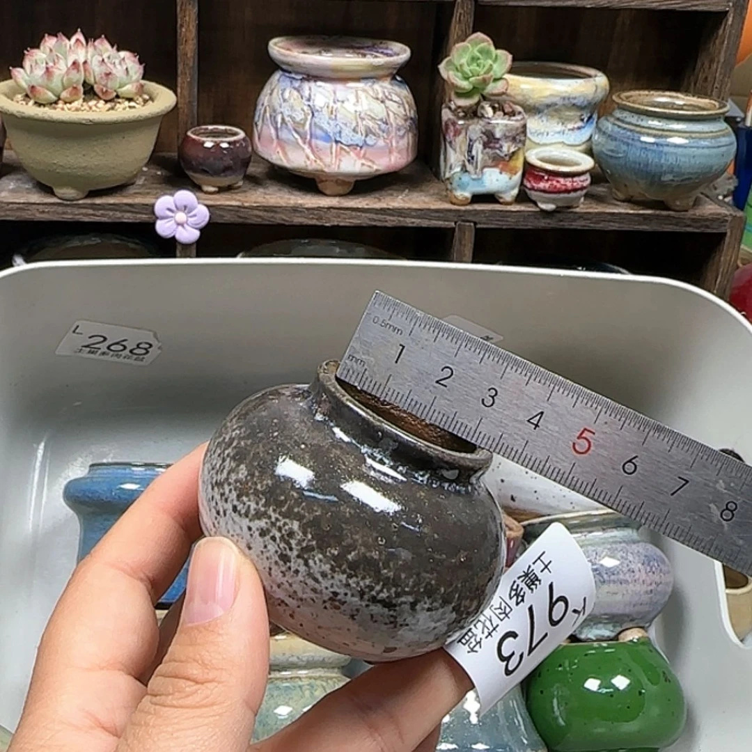 【闪购商品】陶瓷罐?****?