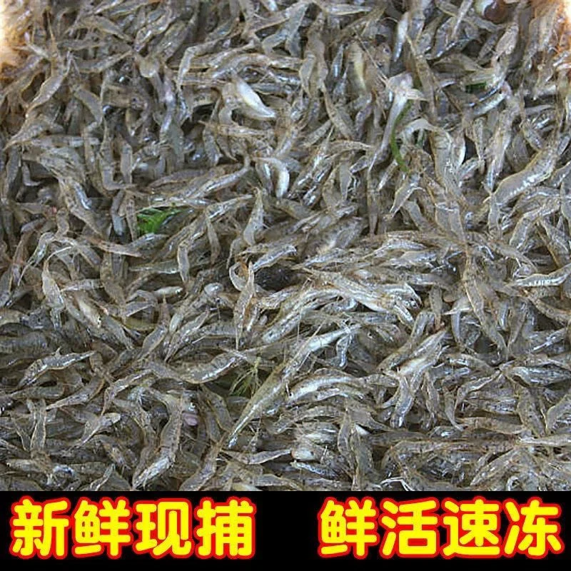 黑龙江草虾野生河虾速冻发货包邮