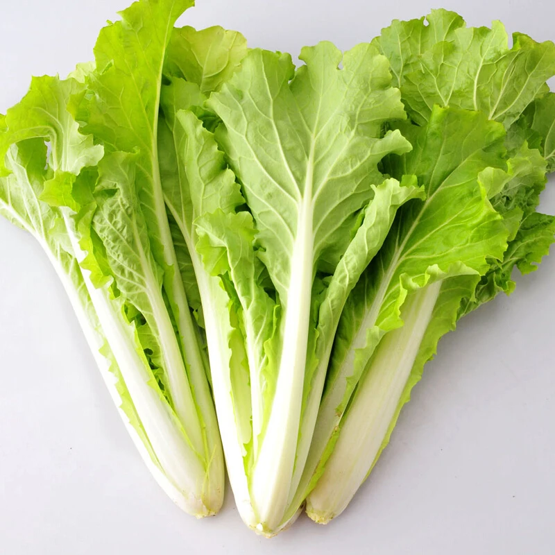 毛白菜约250g/份【同城配送】