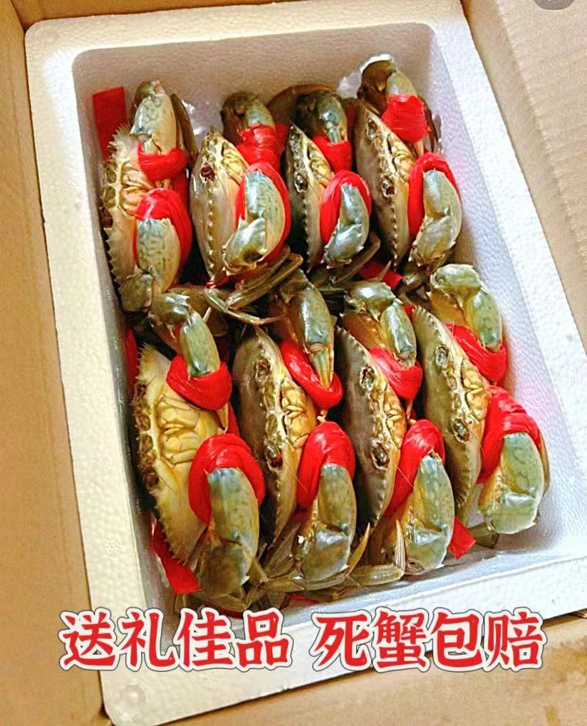 《超大》东山岛本港特大红膏蟹红鲟7-1斤/只包有膏鲜活到家顺丰包邮