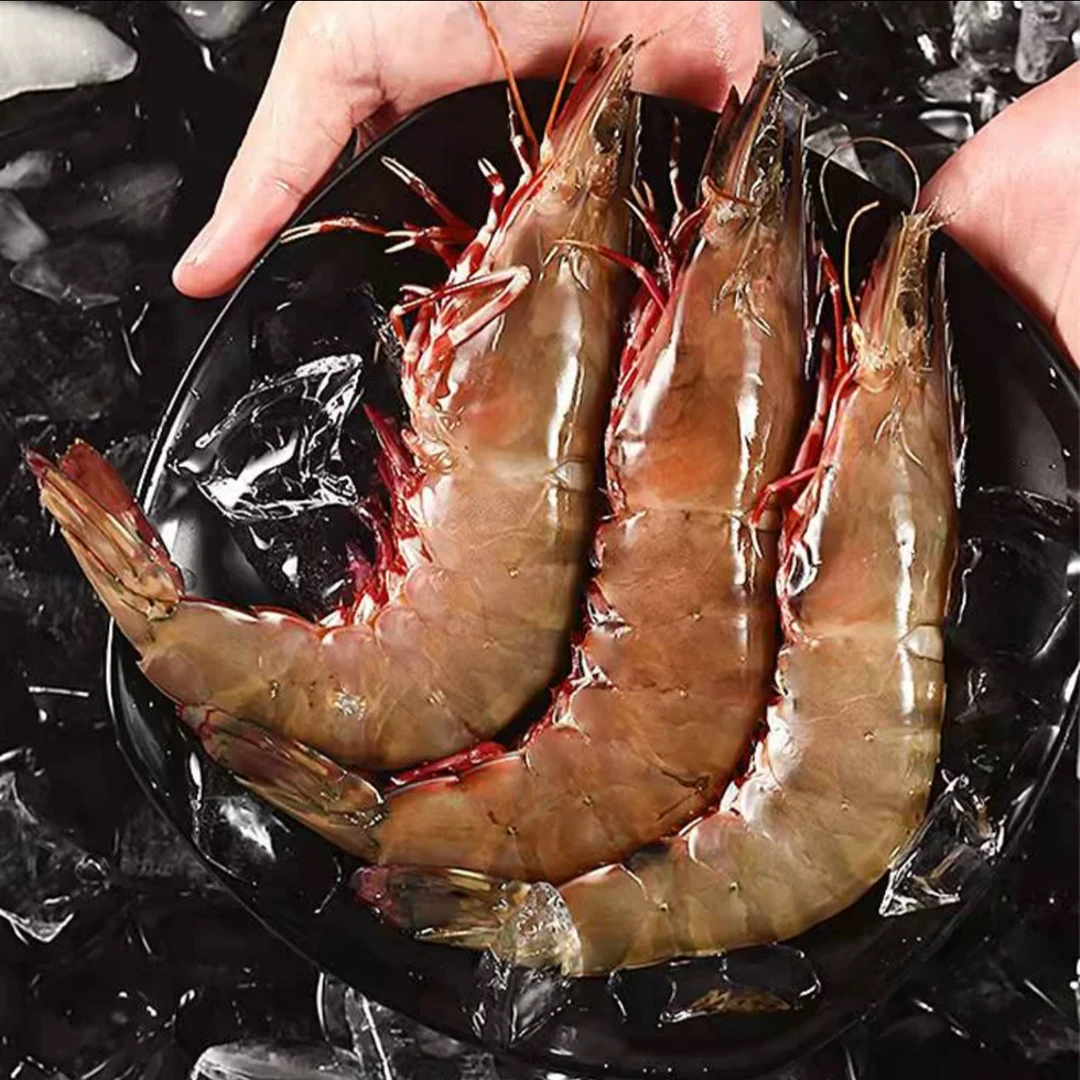 【蔡蔡鲜仓】野生海捕红足虾红爪虾8-10只左右/斤 低温冷冻发货