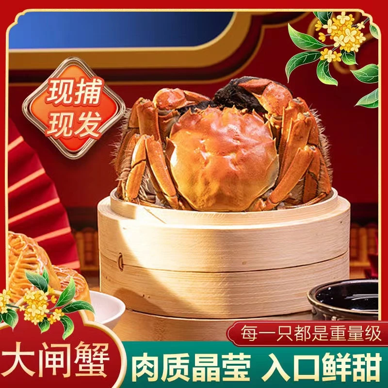 【活蟹】江苏正宗大闸蟹-母蟹（2.2-2两/只）10只