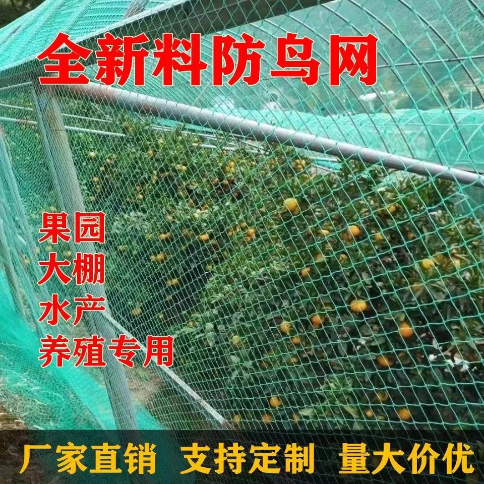 果园防鸟网养鸡网池塘养殖网果树爬藤网天网围网果蔬多肉防护隔离