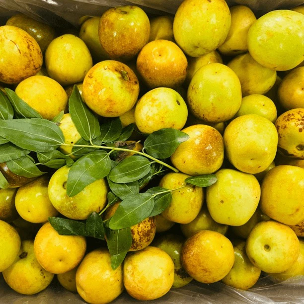 大荔冬枣散装两斤陕西省