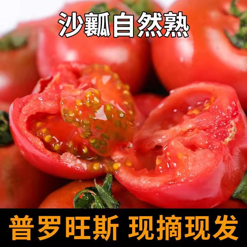 正宗普罗旺斯西红柿沙瓤新鲜蔬菜番茄水果生吃西红柿4.5斤包邮