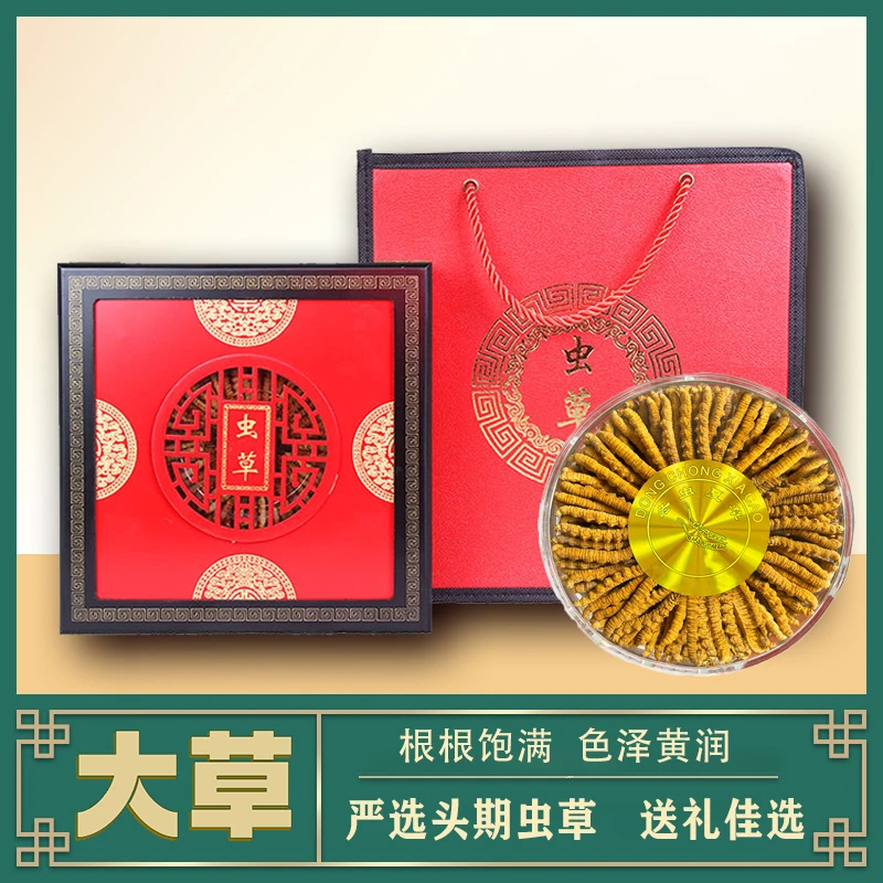 【央金专属】2根/克 60根礼盒装 30克 头期冬虫夏草大草 礼盒装